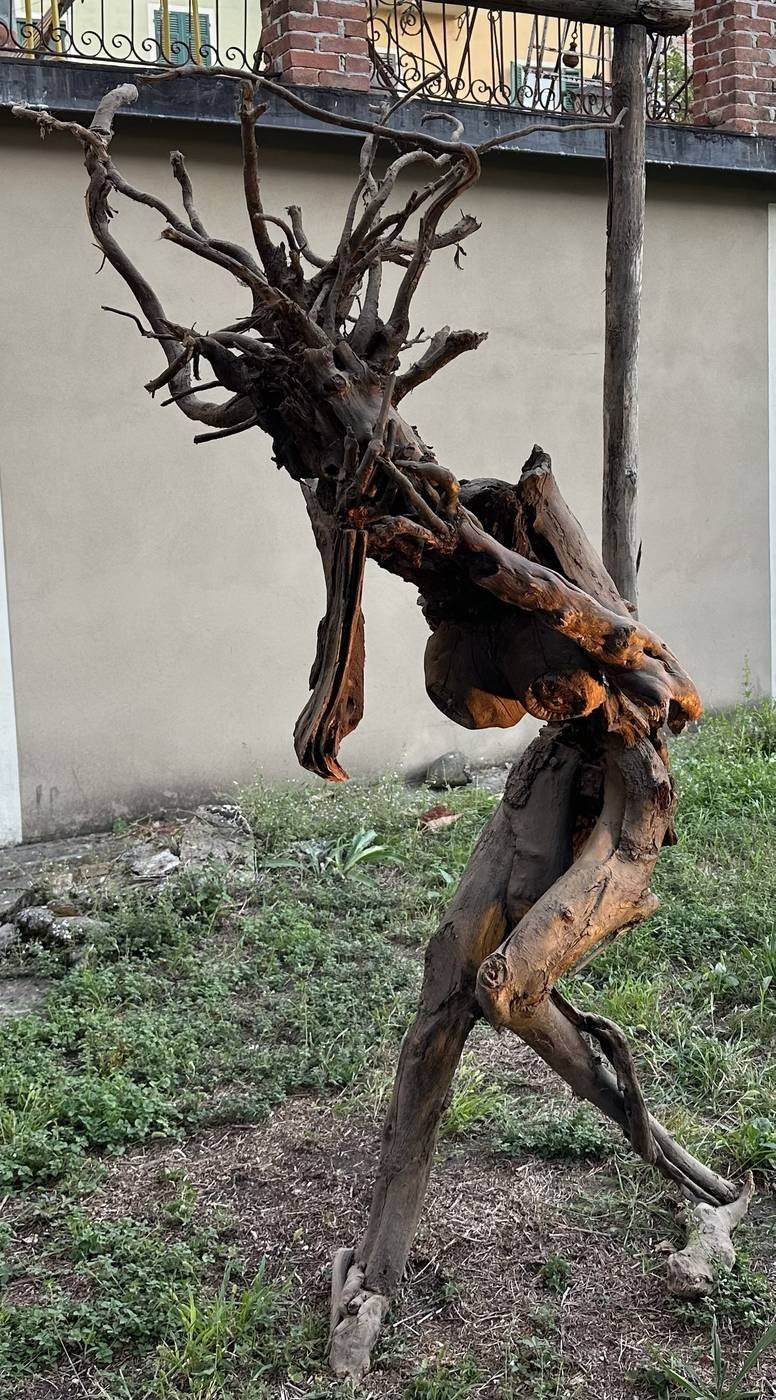 Wortel-sculptuur van Gualtiero Fulvio Caiafa