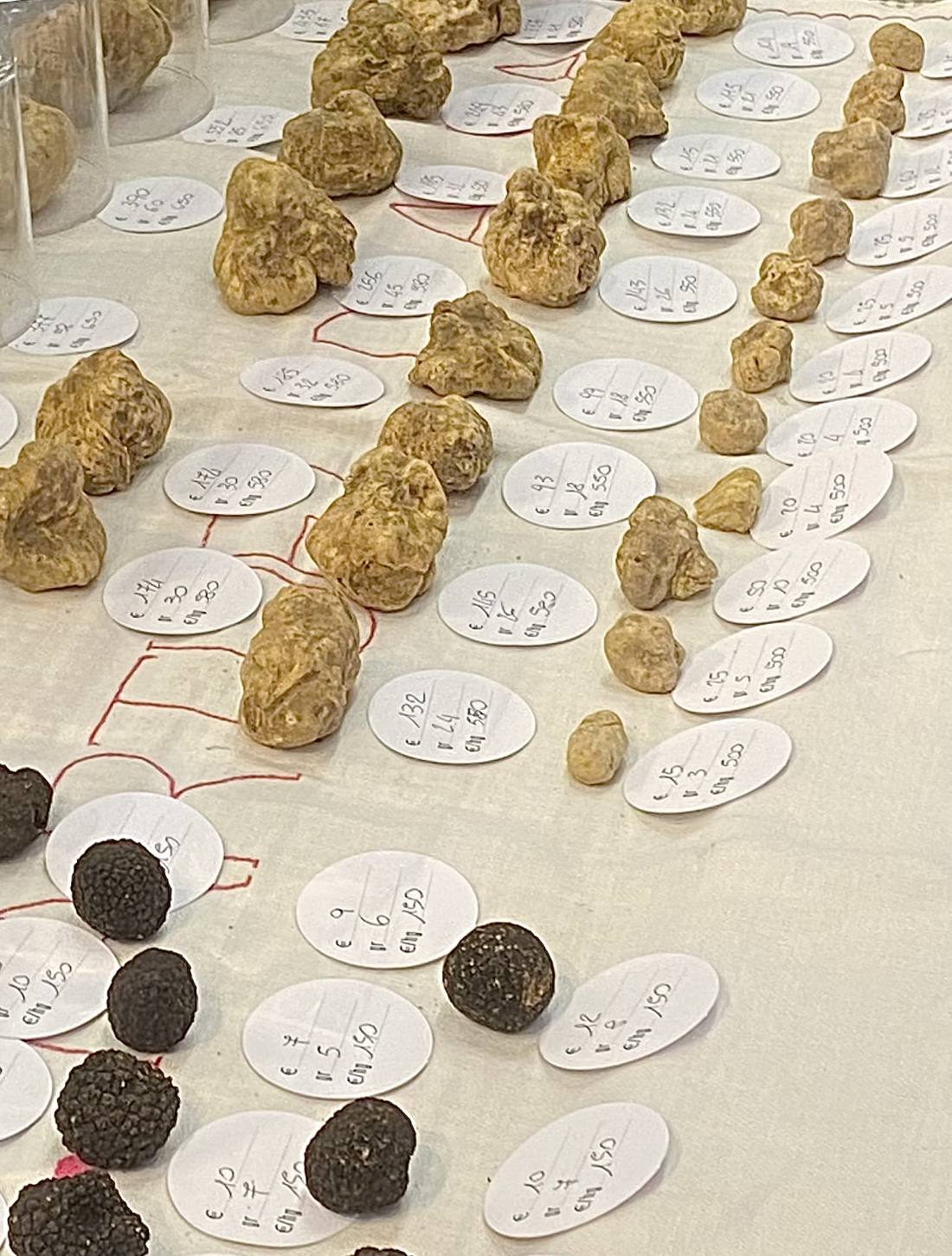 Witte truffels uit de streek rond Casa Mumu