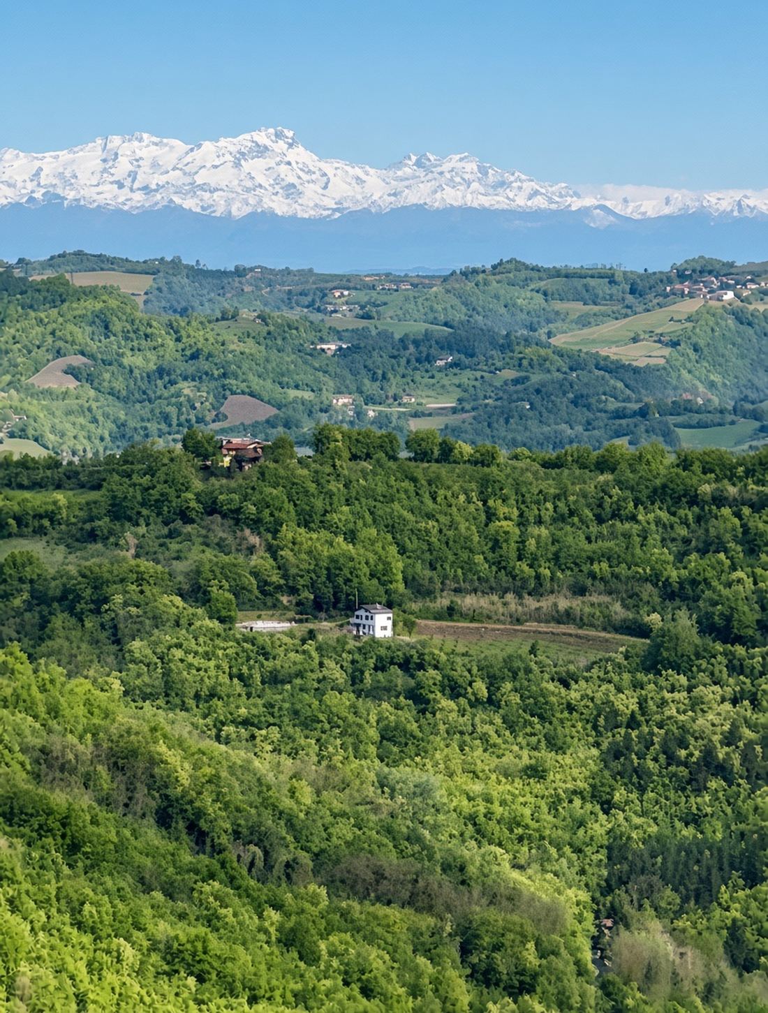 Groene heuvels met uitzicht op de Alpen bij Casa Mumu